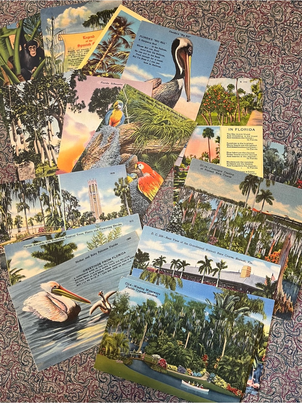 Vintage Florida Souvenir Postcard Lot of 17 (1930’s to 1950’s)